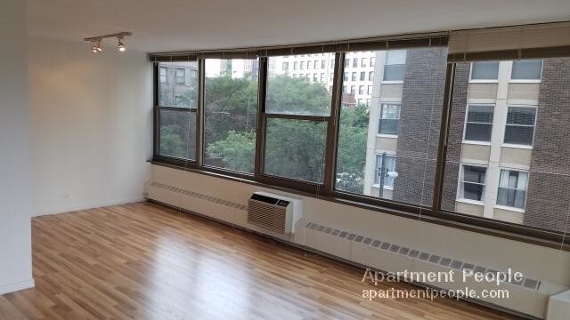 360 W Wellington Ave-Unit -3E in Chicago, IL - Building Photo