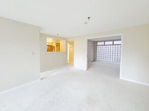 20 Webster St, Unit 304 in Brookline, MA - Building Photo - Building Photo