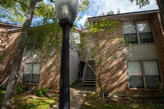 3839 Dry Creek Dr in Austin, TX - Foto de edificio - Building Photo