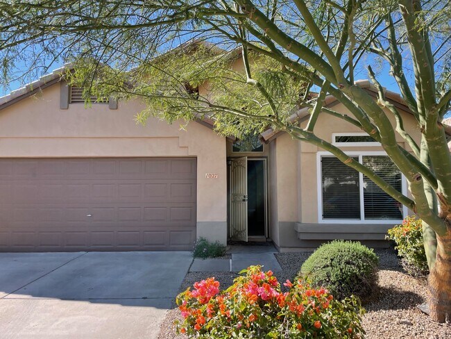 1027 W Todd Dr in Tempe, AZ - Building Photo - Building Photo