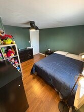 113 Washington Ave in La Grange, IL - Building Photo - Building Photo