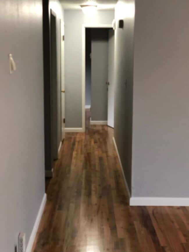 214 River Loop 2 in Eugene, OR - Building Photo - Building Photo