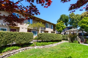 Town House Plaza in Castro Valley, CA - Building Photo