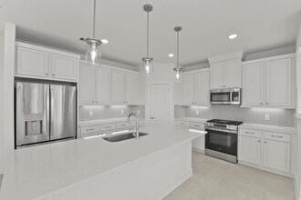 21223 Fiery Skipper Dr in Cypress, TX - Building Photo - Building Photo