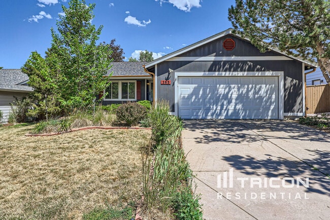 385 Mountain Cloud Cir in Littleton, CO - Building Photo - Building Photo