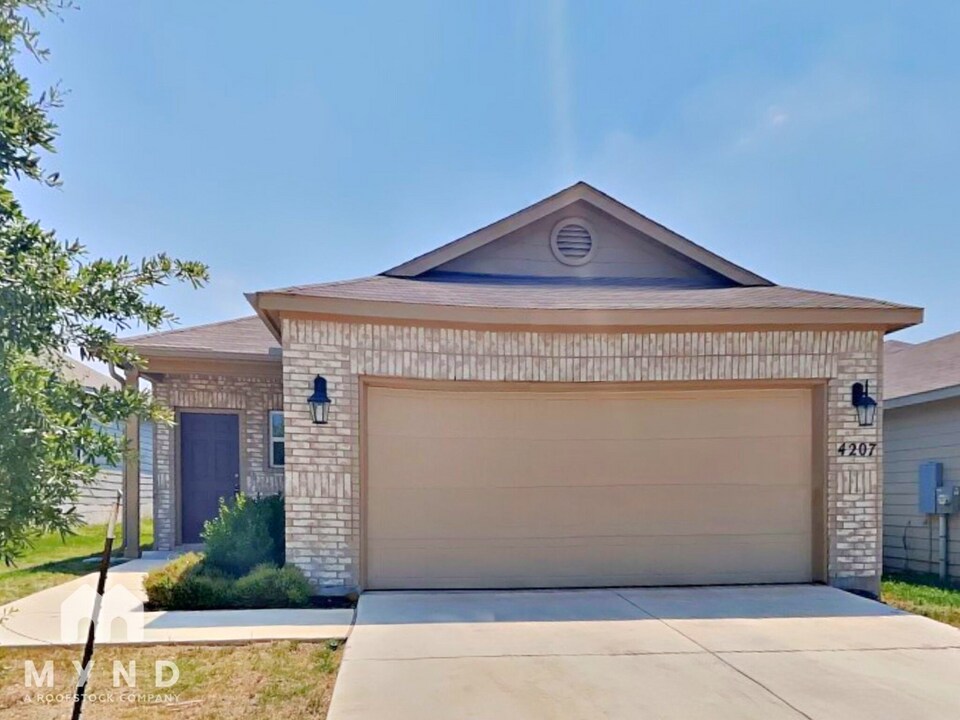4223 Asher Alley in Saint Hedwig, TX - Building Photo