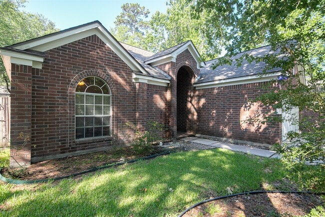 11 Painted Canyon Pl in Spring, TX - Building Photo - Building Photo