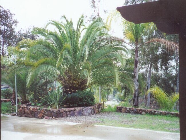 3260 Laurashawn Ln in Escondido, CA - Building Photo - Building Photo