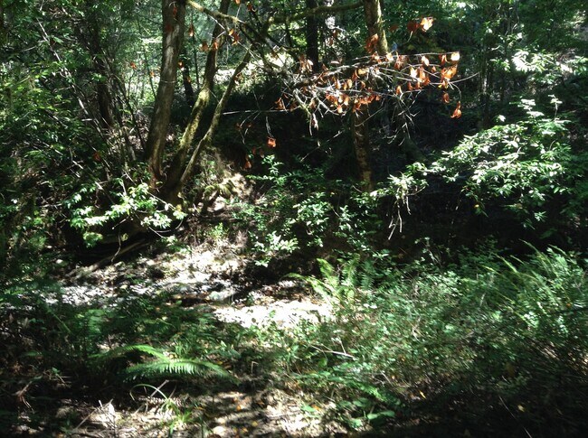 property at 2496 Kent Creek Rd
