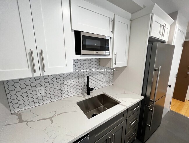 1661-1663 Washington St. Unit 206 in Boston, MA - Building Photo - Building Photo