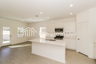 1128 Nesting Bird Dr in Georgetown, TX - Building Photo - Building Photo