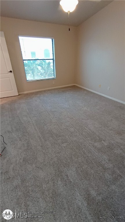 property at 13247 Whitehaven Ln