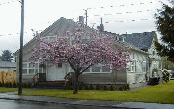 1509 Walnut St in Everett, WA - Building Photo - Building Photo