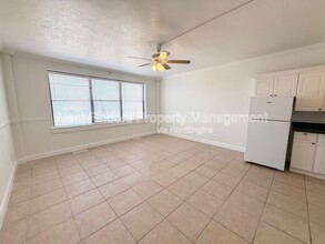 311 E Ashley St in Jacksonville, FL - Building Photo - Building Photo