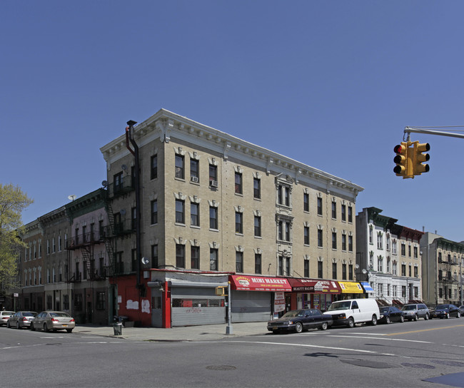 243 Troy Ave in Brooklyn, NY - Building Photo - Building Photo