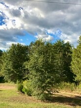 646 Rices Creek Rd in Liberty, SC - Building Photo - Building Photo
