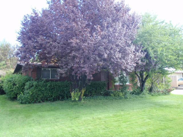 292 N 1425 E in Layton, UT - Building Photo - Building Photo