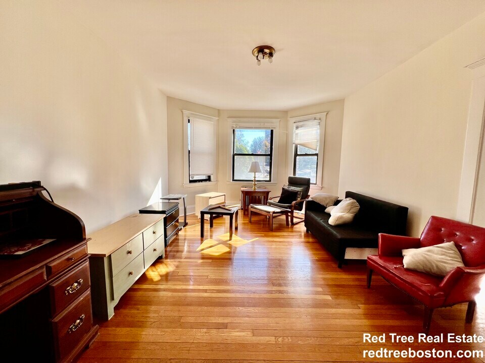 225 Chestnut Hill Ave in Boston, MA - Building Photo