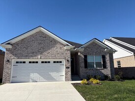 986 County House Ln in Bowling Green, KY - Building Photo