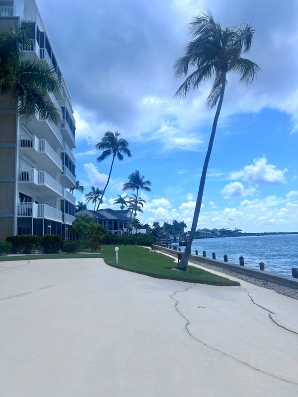 property at 60 W Pelican St