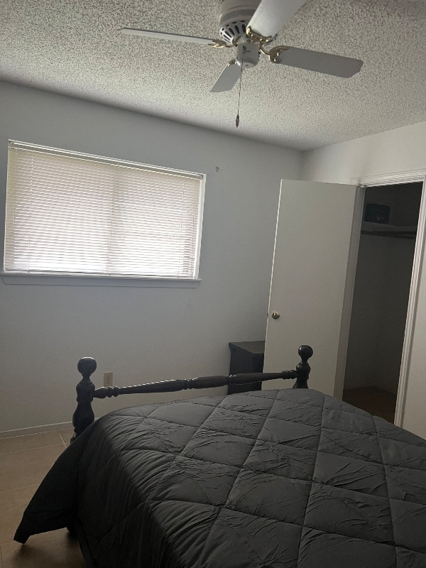 18406 Tall Cypress Dr in Spring, TX - Building Photo - Building Photo