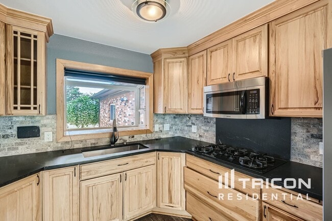 343 Brigitte Dr in Northglenn, CO - Foto de edificio - Building Photo