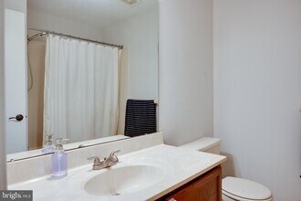 203 Waverly Ct in Trenton, NJ - Building Photo - Building Photo