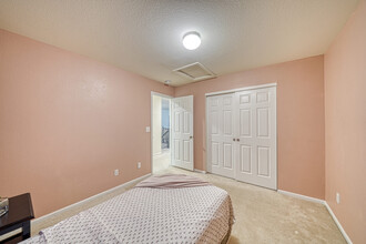 6734 Monterey Pine Loop in Colorado Springs, CO - Building Photo - Building Photo