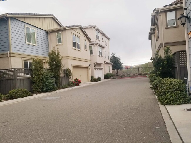 2609 Alliston Loop in Dublin, CA - Foto de edificio - Building Photo