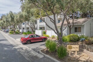 38596 Mary Ter in Fremont, CA - Building Photo