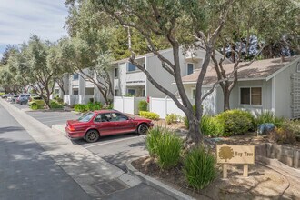 38596 Mary Ter in Fremont, CA - Building Photo - Primary Photo