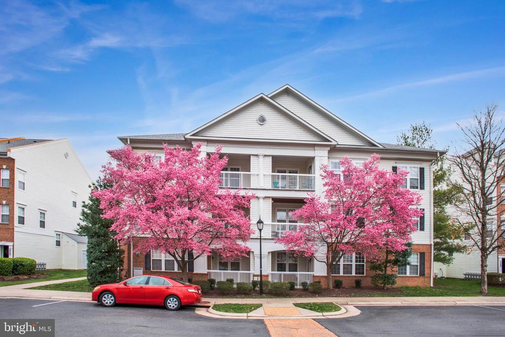 42480 Rockrose Square in Ashburn, VA - Building Photo