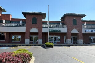 16649 Oak Park Ave in Tinley Park, IL - Building Photo