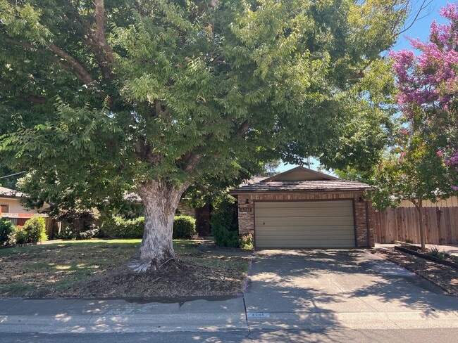 property at 4781 Rex Ct