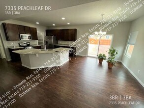 7335 Peachleaf Dr in Colorado Springs, CO - Building Photo - Building Photo