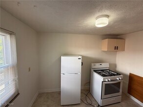21250 Crystal Ave in Euclid, OH - Building Photo - Building Photo
