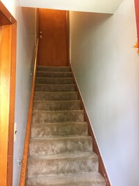 2707 Shirey Ave photo'