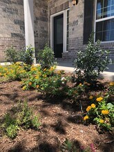 125 Magdalene Way in Liberty Hill, TX - Building Photo - Building Photo