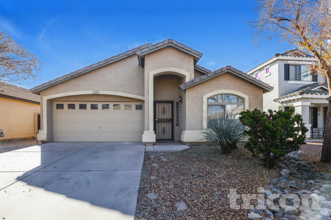1275 E Shari St in San Tan Valley, AZ - Building Photo