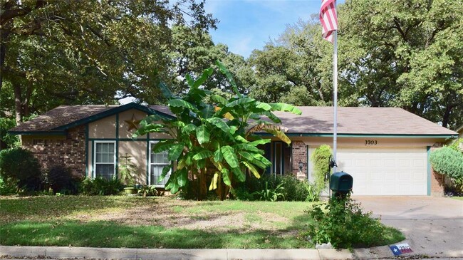 3703 Mahonia Ct in Arlington, TX - Foto de edificio - Building Photo