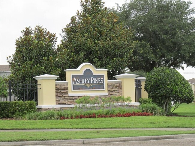 30849 Temple Stand Ave in Wesley Chapel, FL - Building Photo - Building Photo