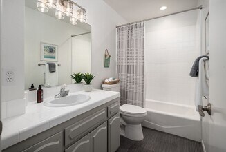 6732 Antilope St in Carlsbad, CA - Building Photo - Building Photo