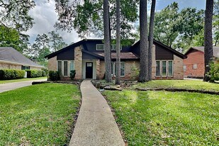 2026 Willow Point Dr in Houston, TX - Building Photo