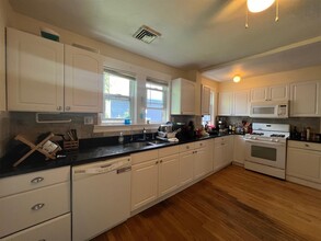 119 Albion St, Unit 2 in Somerville, MA - Building Photo - Building Photo