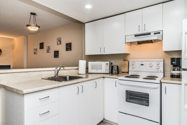 1245 Rue Saint-Dominique in Montréal, QC - Building Photo - Building Photo