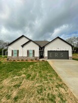 251 Keswick Dr in Eastaboga, AL - Building Photo