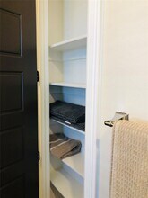 1305 Black Walnut Ln in Arlington, TX - Building Photo - Building Photo