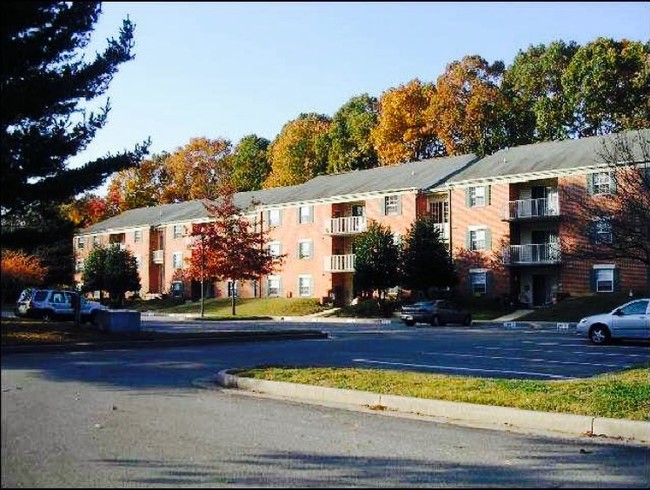 College Lane Apartments in Salisbury, MD - Foto de edificio - Building Photo