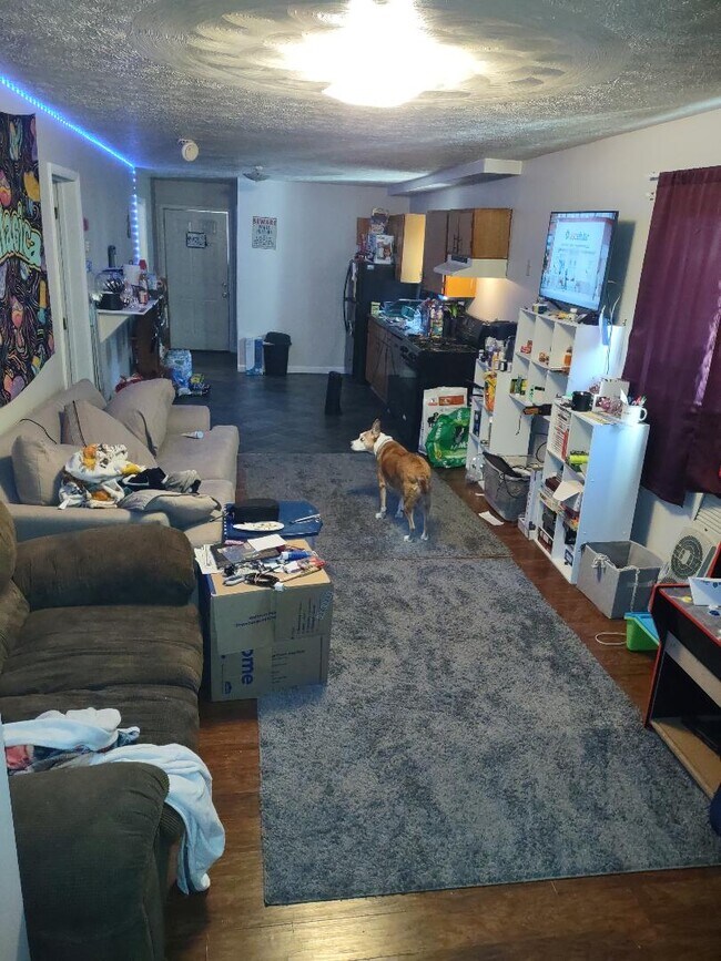 83 Mason St Apartments and Nearby Apartments For Rent