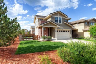 10531 Rutledge St in Parker, CO - Building Photo